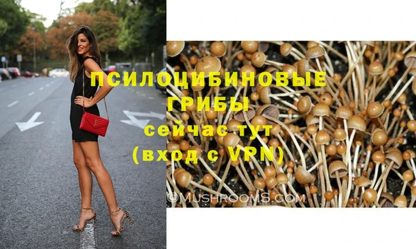 прущие грибы Киренск