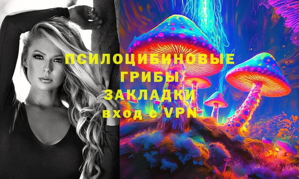 амфетамин Козловка