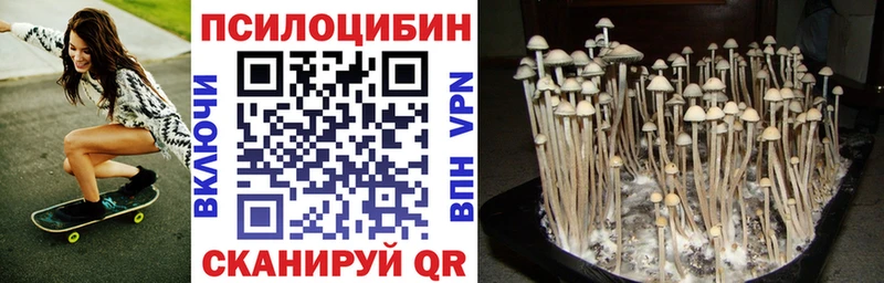 Галлюциногенные грибы Psilocybine cubensis Константиновск